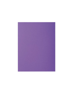 PACK 100 SUBCARPETAS EXACOMPTA ROCKS 80