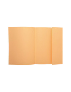 PACK 100 SUBCARPETAS EXACOMPTA SUPER 160 2