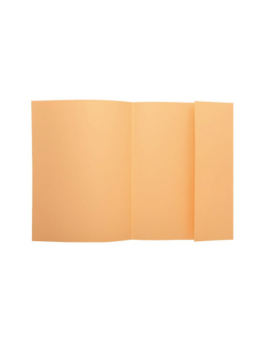 PACK 100 SUBCARPETAS EXACOMPTA SUPER 160