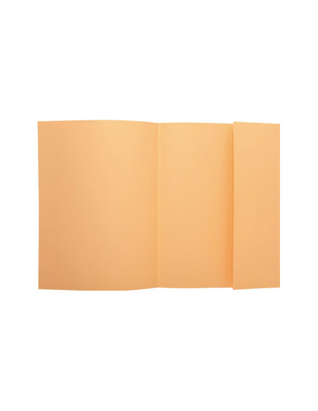 PACK 100 SUBCARPETAS EXACOMPTA SUPER 160