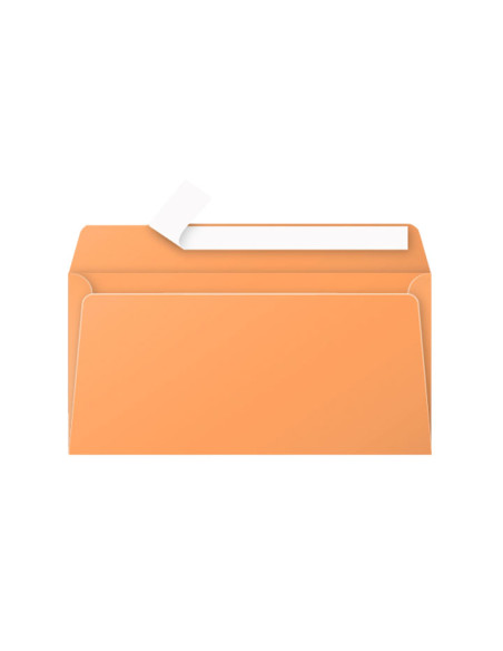 PACK 20 SOBRES CLAIREFONTAINE 110mm x 220mm COLORES