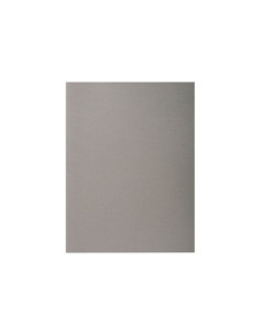 PACK 100 SUBCARPETAS EXACOMPTA FOREVER 170