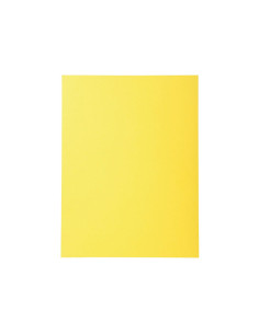 PACK 100 SUBCARPETAS EXACOMPTA FOREVER 170