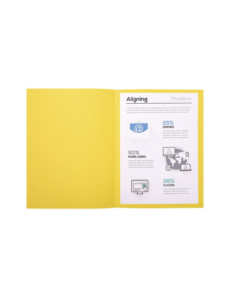 PACK 100 SUBCARPETAS EXACOMPTA FOREVER 170
