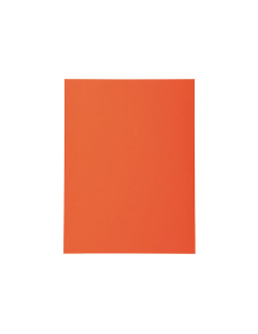 PACK 100 SUBCARPETAS EXACOMPTA FOREVER 170