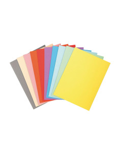 PACK 100 SUBCARPETAS EXACOMPTA FOREVER 170