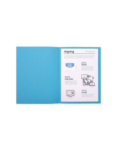 PACK 100 SUBCARPETAS EXACOMPTA FOREVER 220