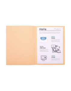 PACK 100 SUBCARPETAS EXACOMPTA FOREVER 220