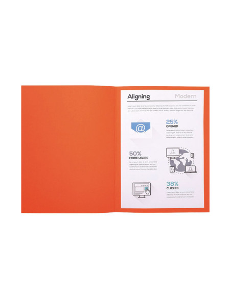 PACK 100 SUBCARPETAS EXACOMPTA FOREVER 220