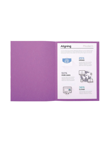 PACK 100 SUBCARPETAS EXACOMPTA FOREVER 220