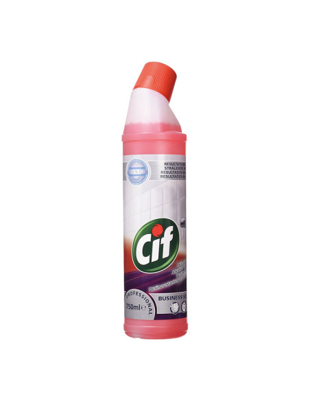 LIMPIADOR DESINCRUSTANTE BAÑOS 750 ml