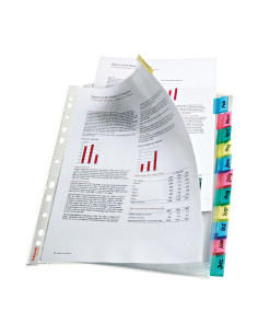 PACK 12 FUNDAS ESSELTE CON PESTAÑA 12 POSICIONES