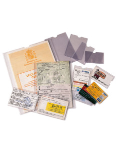 CAJA 100 PORTACARNETS ESSELTE  122x172mm