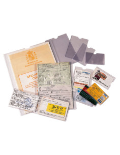 CAJA 100 PORTACARNETS ESSELTE 232x305mm