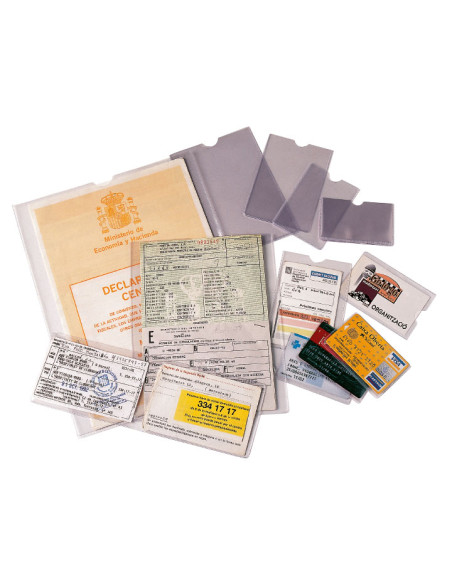 CAJA 100 PORTACARNETS ESSELTE 93x138mm