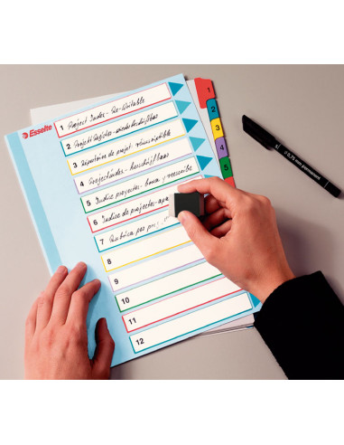 ÍNDICES ESSELTE BORRA Y REESCRIBE 1-12 POSICIONES