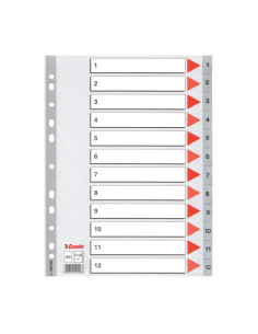 ÍNDICES ESSELTE 1-12 POSICIONES