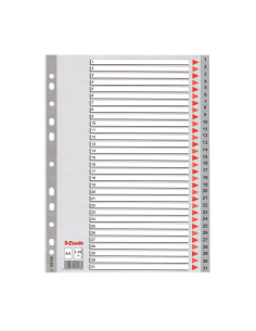 ÍNDICES ESSELTE 1-31 POSICIONES