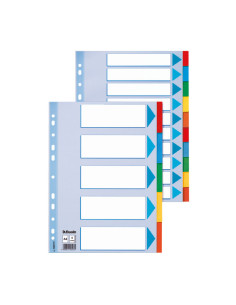 PACK 20 SEPARADORES ESSELTE DE CARTÓN 6 POSICIONES 2