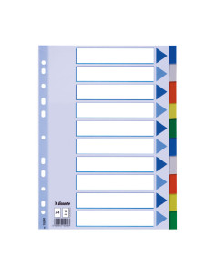 SEPARADORES ESSELTE 10 POSICIONES A4