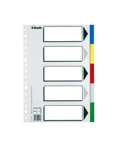 SEPARADORES ESSELTE 5 POSICIONES A4 COLORES VIVOS