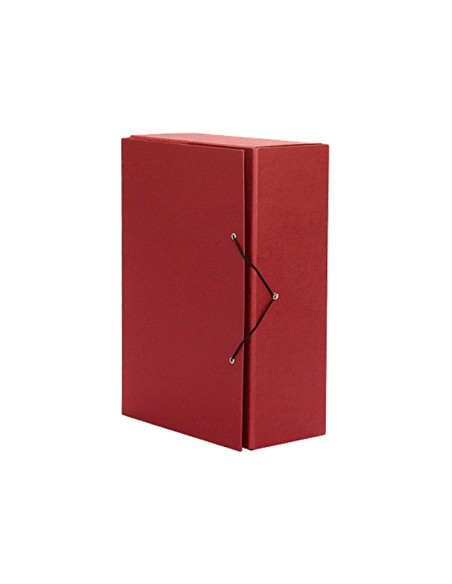 CARPETA DE PROYECTOS PARDO 120mm
