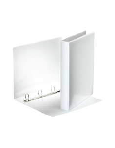 CARPETA PERSONALIZABLE ESSELTE 4-25 mm