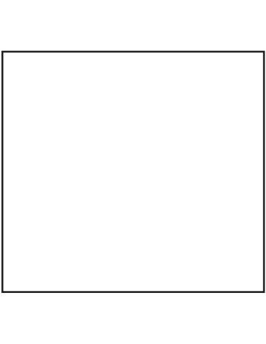 BLOC DE NOTAS PACSA TAPA F 80h LISO