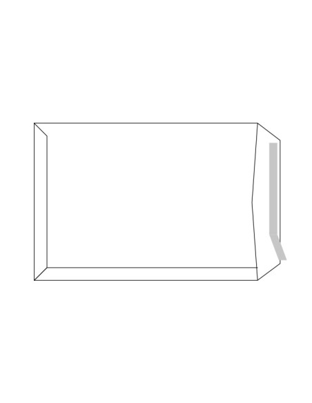 CAJA 250 BOLSAS SAM DE USO GENERAL 260x360mm