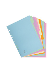 SEPARADORES EXACOMPTA 10 POSICIONES COLORES PASTEL 2