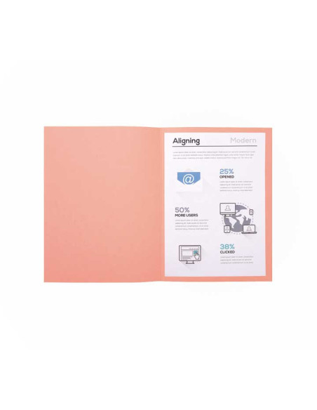 PACK 100 SUBCARPETAS EXACOMPTA FOREVER 170