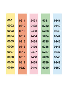 TIRAS DE RIFA APLI 1 AL 5000 COLOR