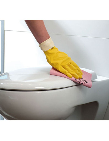 PACK 5 BAYETAS VILEDA PURMICRO ACTIVE