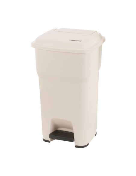 CUBO VILEDA HERA CON PEDAL 60L