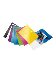 CARPETA DE GOMAS LEITZ WOW A4 2