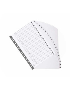 SEPARADORES EXACOMPTA DE CARTULINA 1-20 POSICIONES 2