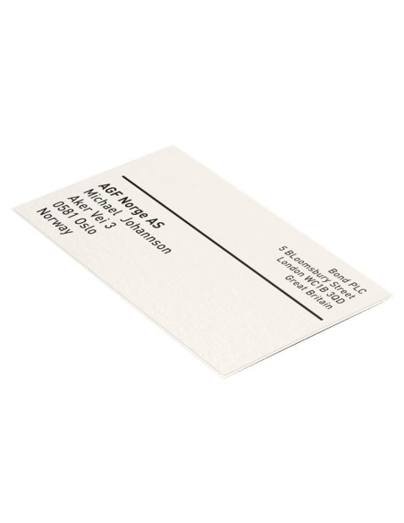 CARTUCHO 225 ETIQUETAS LEITZ ICON 59x102mm