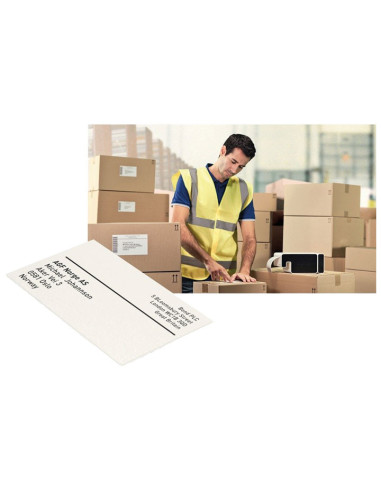 CARTUCHO 225 ETIQUETAS LEITZ ICON 59x102mm