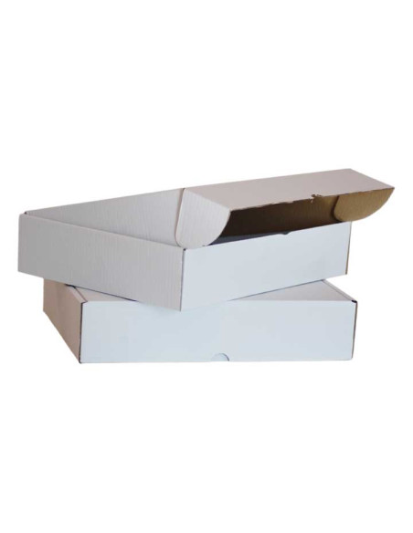 CAJA DE TAPA ABATIBLE 310 x 220 x 60mm