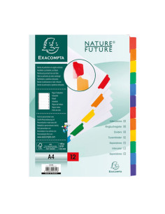 SEPARADORES EXACOMPTA PESTAÑA COLOR 12 POSICIONES