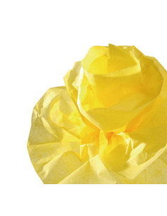 ROLLO PAPEL DE SEDA CANSON 5m