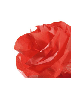 ROLLO PAPEL DE SEDA CANSON 5m