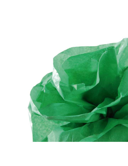 PAPEL SEDA CANSON 20g ROLLO 05x5 m VERDE BILLAR