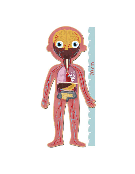 PUZLE EDUCATIVO APLI KIDS CUERPO HUMANO 240 pz