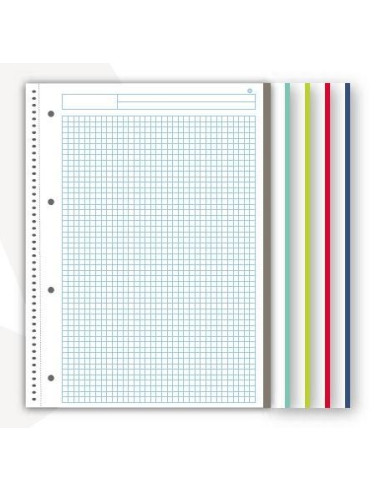 CUADERNO NAVIGATOR A4 120h 5X5 COLORES VIVOS