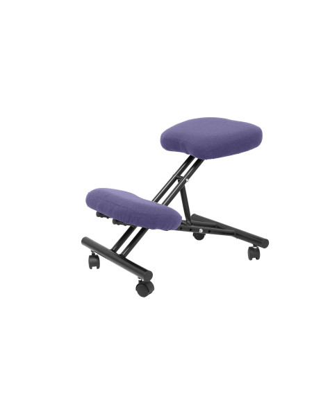 SILLA PIQUERAS Y CRESPO MAHORA FIJA ERGONOMICA RODILLERA REGULABLE EN ALTURA RUEDAS de NYLON TAPIZADO BALI AZUL MARINO