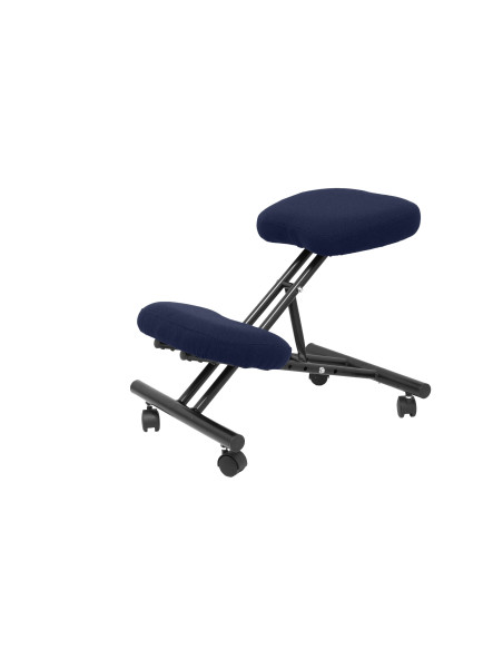 SILLA PIQUERAS Y CRESPO MAHORA FIJA ERGONOMICA RODILLERA REGULABLE EN ALTURA RUEDAS de NYLON TAPIZADO BALI AZUL MARINO
