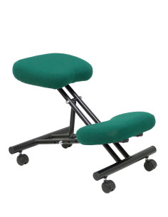 SILLA OPERATIVA MAHORA TELA 2