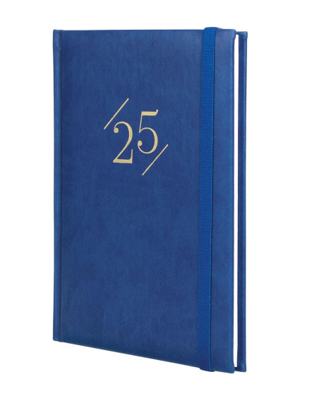 FINOCAM AGENDA ANUAL DYNAMIC LONDON Y10-140X204MM SVV AZUL 2025