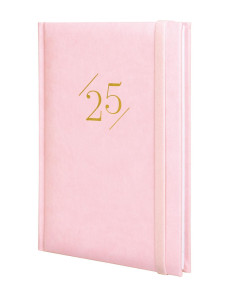 FINOCAM AGENDA ANUAL DYNAMIC LONDON Y10-140X204MM SVV ROSA 2025